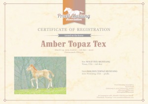 thumbnail of Amber_Topaz_Tex_C1