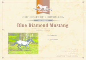 thumbnail of Blue_Diamond_Mustang_C1