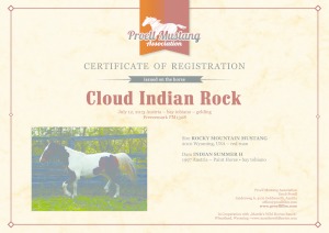 thumbnail of Cloud_Indian_Rock_C1