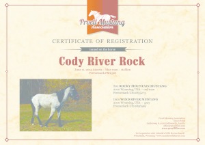 thumbnail of Cody_River_Rock_C1