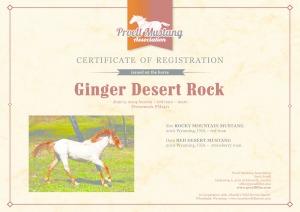 thumbnail of Ginger_Desert_Rock_C1