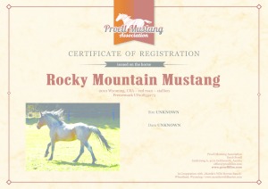 thumbnail of Rocky_Mountain_Mustang_C1