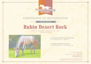 thumbnail of Rubin_Desert_Rock_C1