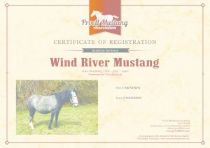 thumbnail of Wind_River_Mustang_C1