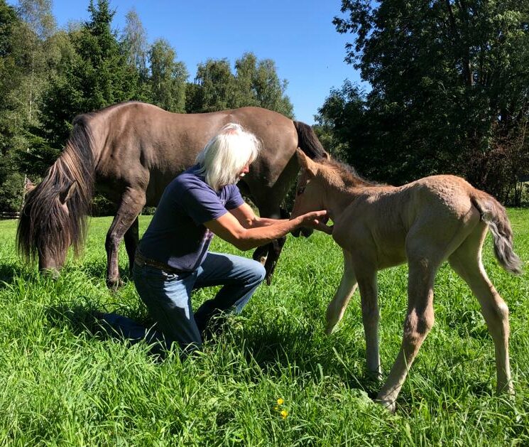 Kiga_Mustang_Fohlen_3